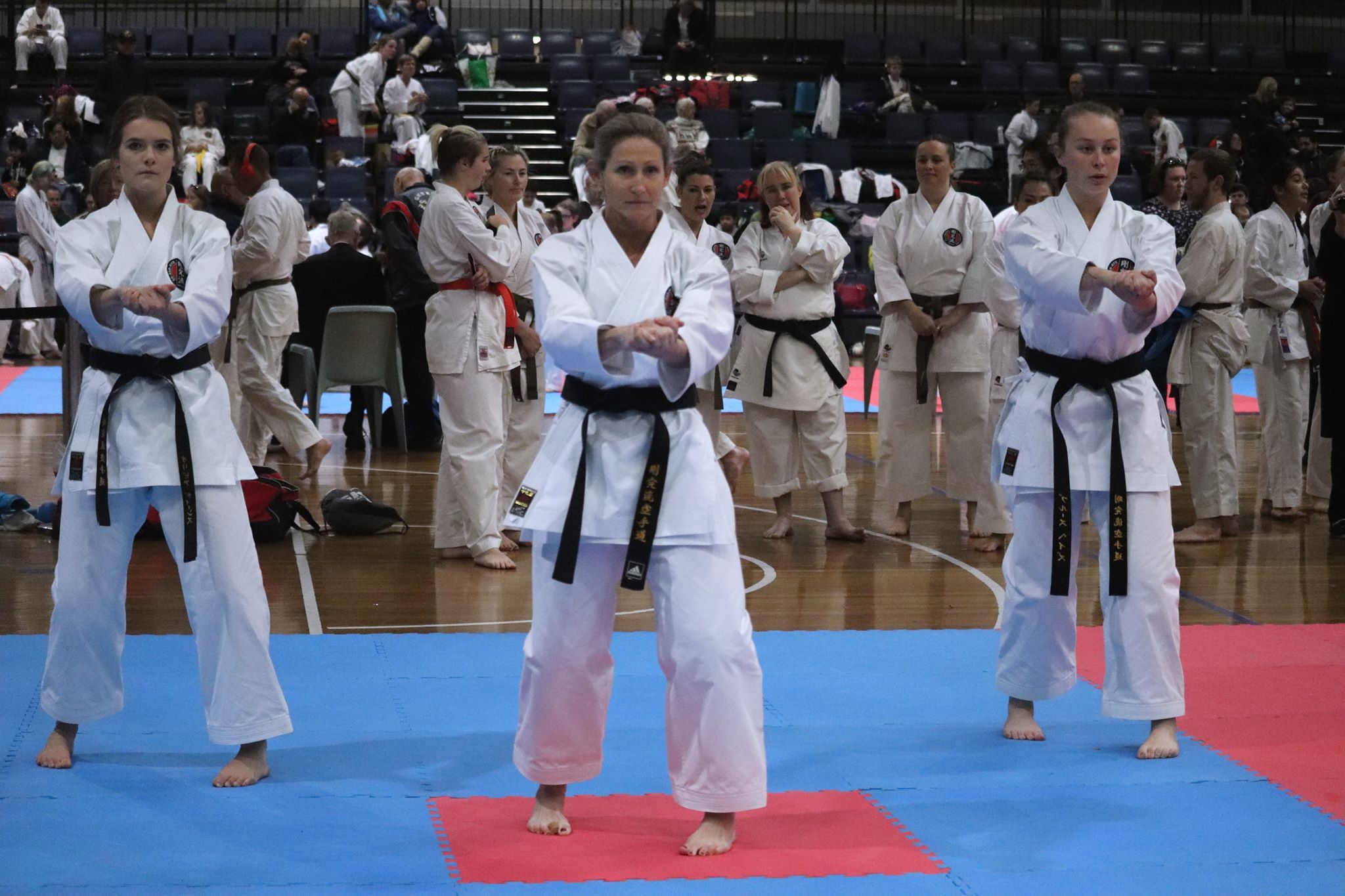 NSW black belt open