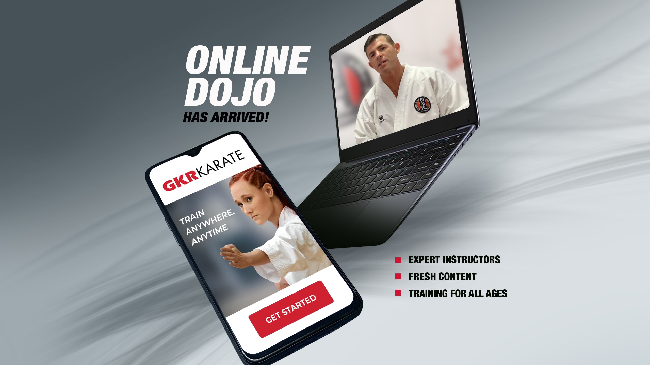 online dojo